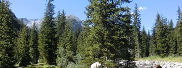 General information about your stay at Pension Schneider