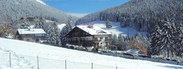 Detaillierte Infos zur Unterkunft Hotel Des Alpes