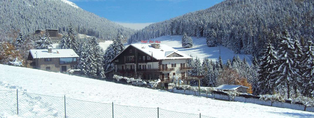 Detaillierte Infos zur Unterkunft Hotel Des Alpes