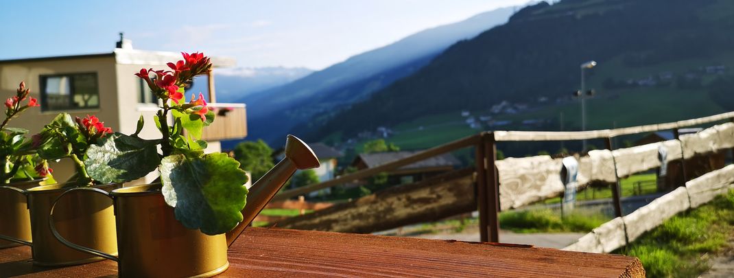 General information about your stay at Pension Gemshorn