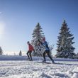 Information on Cross-Country Skiing at Upper Black Forest