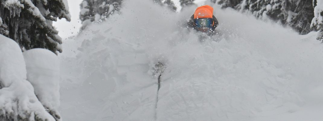 Ein Traum: Tree Skiing in Champagne-Powder