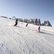 Information about the ski resort Seiser Alm