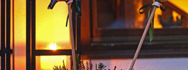 General information about your stay at Apartments Mühlradl