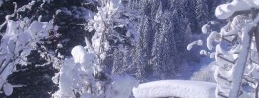 Detaillierte Infos zur Unterkunft Haus Robi