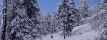 Information about the ski resort St-Luc/Chandolin