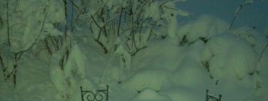 Detaillierte Infos zur Unterkunft Haus Robi