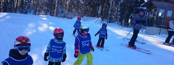 Skischule Mitterdorf