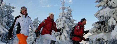 Der Wald ruft im Tölzer Land
