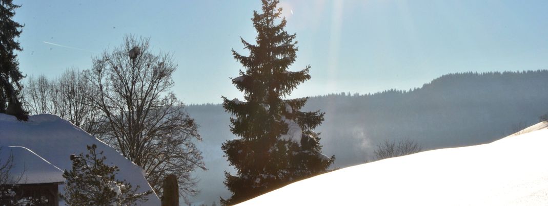 Blick ins Tal Todtnauberg
