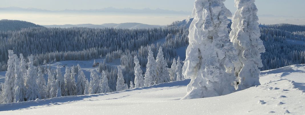 Im Winter bietet der Feldberg Besuchern ein tolles Panorama.
