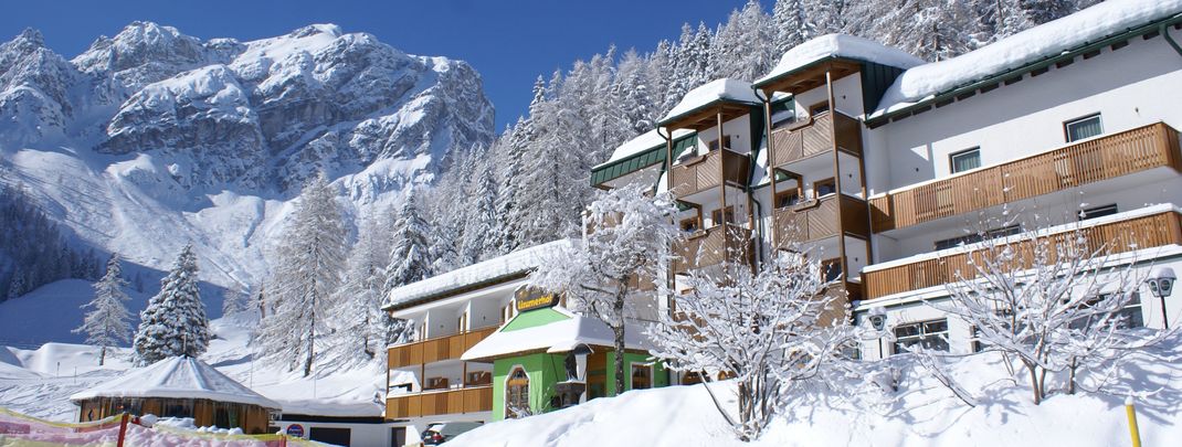 Detaillierte Infos zur Unterkunft Hotel Lizumerhof