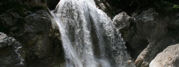 Haus Scheiblauer - outdoor - nature
