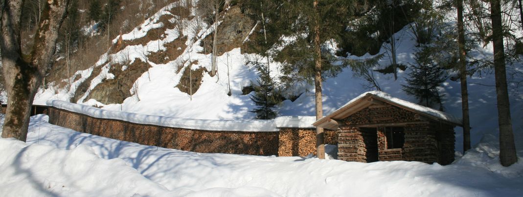 Der Fuertherbach entlang