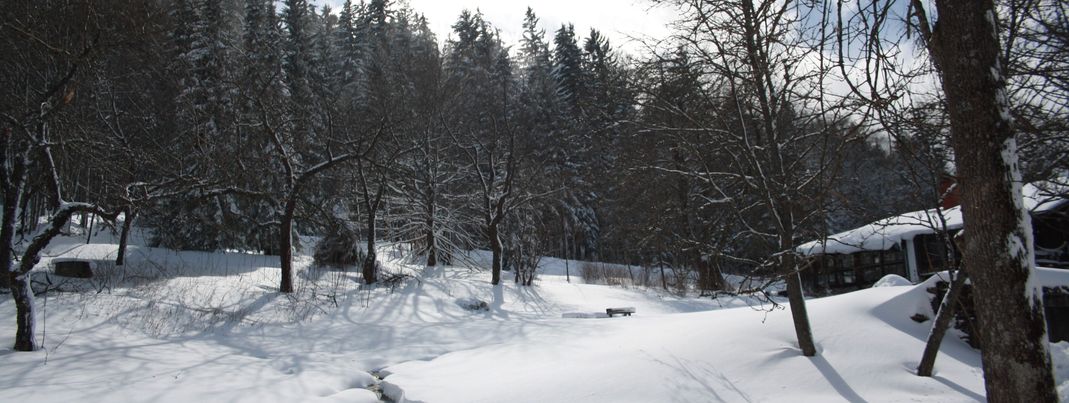 Ausblick Bärenhof, Urlaubsresort für Herr und Hund,