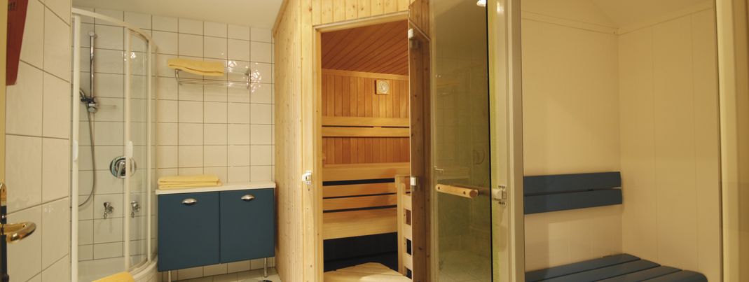 Saune und Dampfbad im Birkenhof