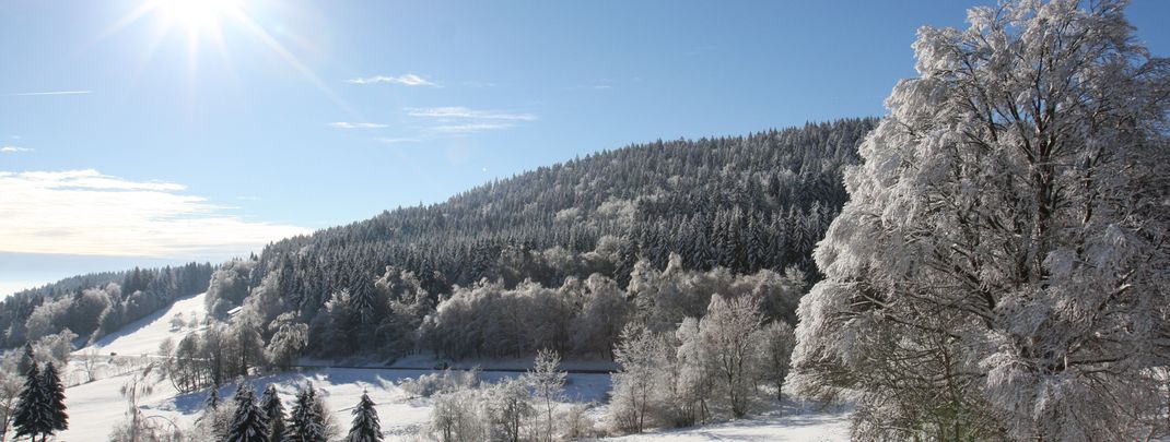 Detaillierte Infos zur Unterkunft Gasthof Reiner