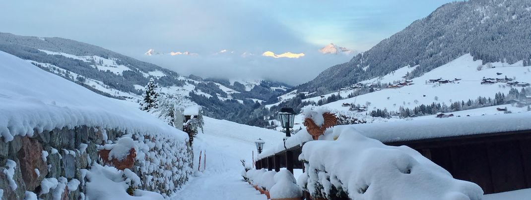 Früh morgens vor dem Bergwald