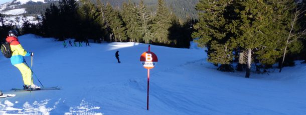 Information about the ski resort Arber