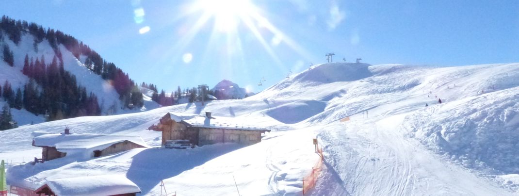 Die Almenwelt Lofer: Ein Traum für Familien