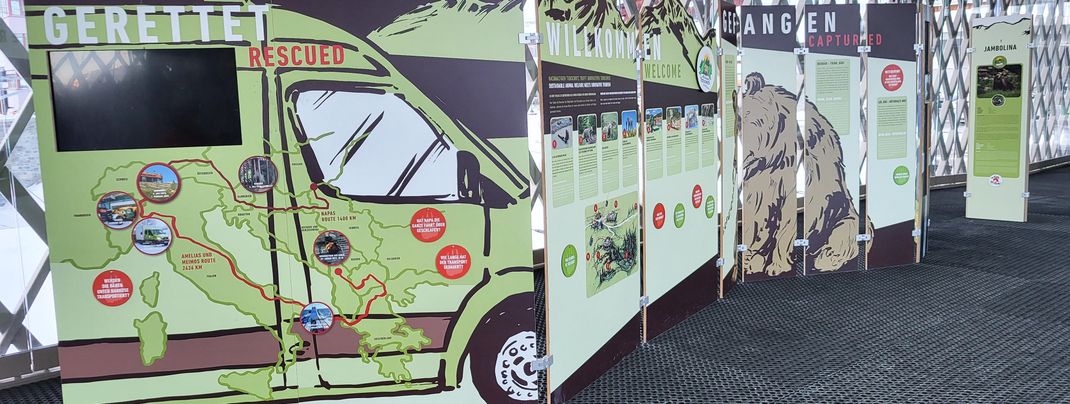 Im Arosa Bärenland finden gerettete Bären ein neues Zuhause. Dort begeistern eine Besucherplattform, Bären-Minigolf sowie ein Spielplatz.