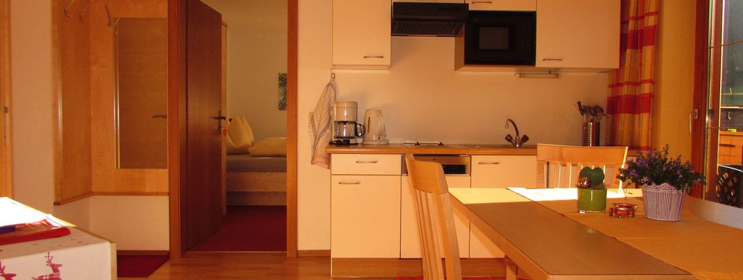 Küche TYP C - Ferienwohnung