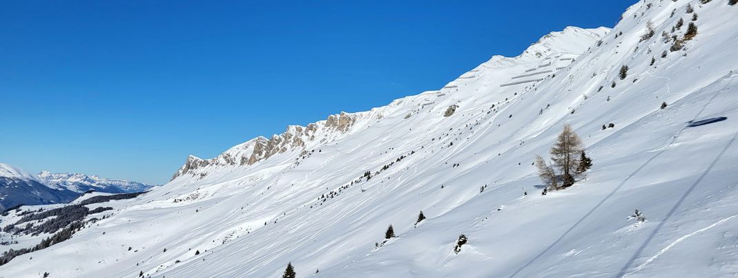 Freeride-Touren mit Berg- und Tourenführern werden von der Skischule Arosa angeboten