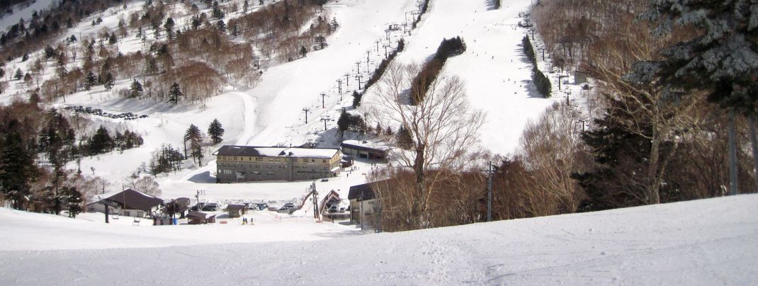 In Takamagahara Mammoth there are some moguls waiting for you