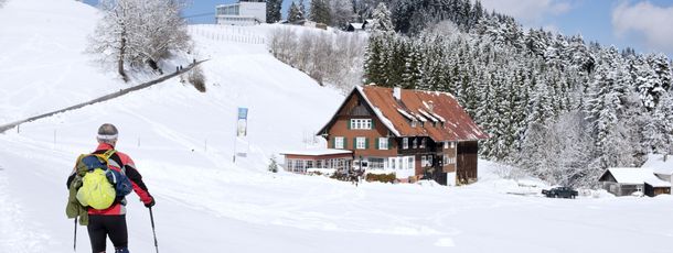 Information about the ski resort Pfänder