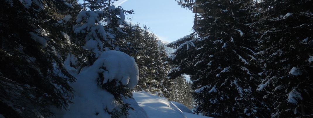 General information about your stay at Zum Jaga Hias