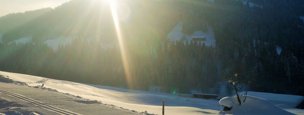 General information about your stay at Alte Schmiede