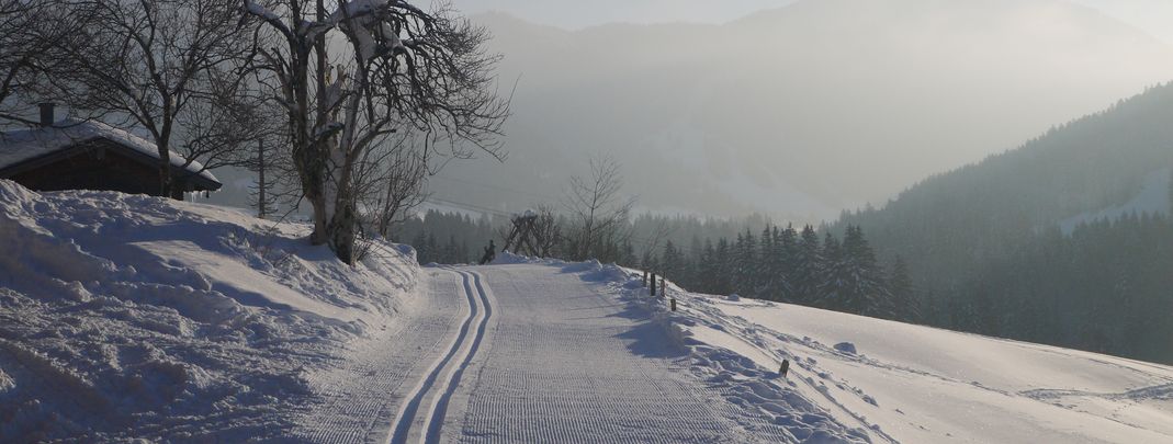 General information about your stay at Alte Schmiede