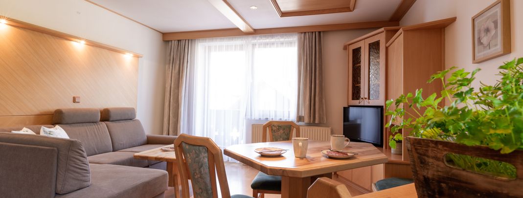 General information about your stay at Appartement Feldinggut