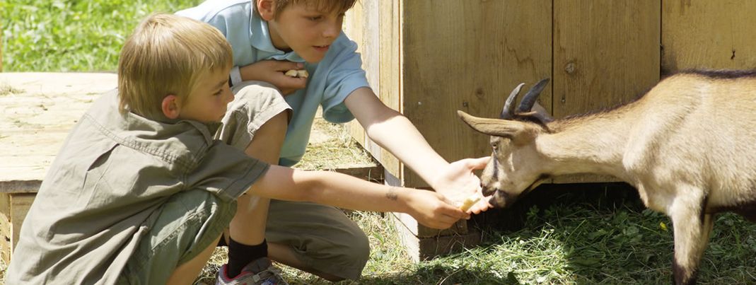 Detaillierte Infos zur Unterkunft Hotel Mohnenfluh****