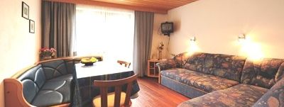 General information about your stay at Appartement Salzgeber