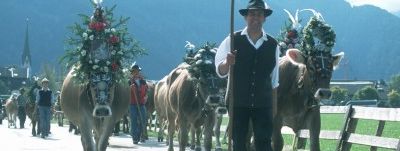 General information about your stay at Ferienhaus Barbara