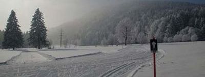 General information about your stay at Haus am Sonnenhang