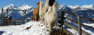 General information about your stay at Klausnerhof