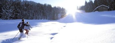 Detaillierte Infos zur Unterkunft Lenzenhof