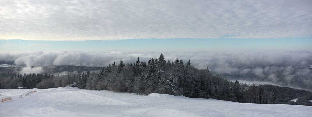 Dieser Ausblick in den Bayerischen Wald bekommen alle Besucher gratis