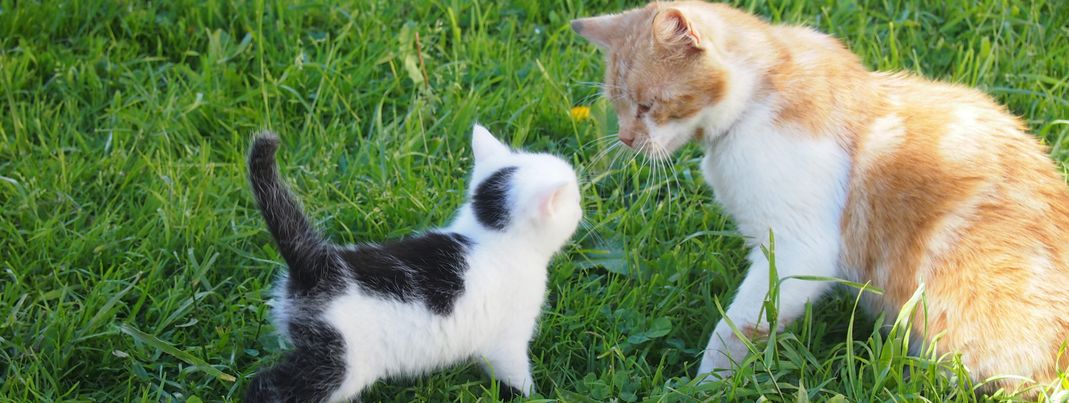 General information about your stay at Lettengut