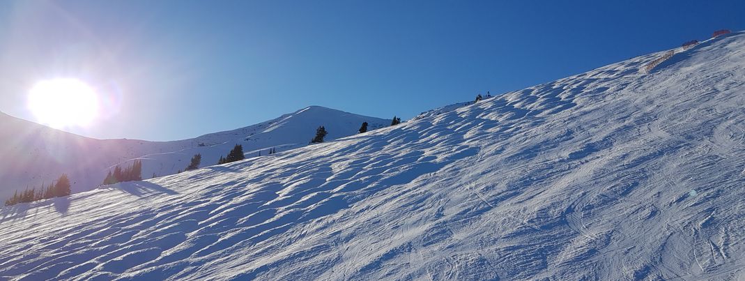 Buckelpiste mit leichten bis mittleren Buckel.