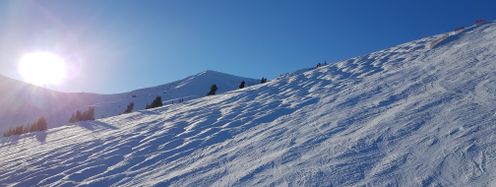 A mogul run with small and medium-sized bumps.