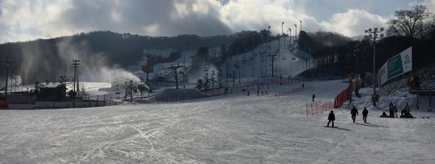 Information about the ski resort Phoenix Park