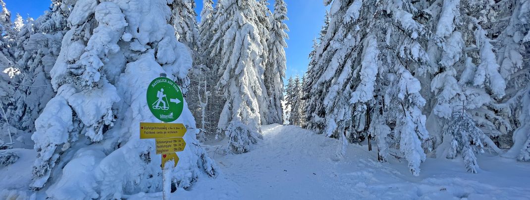 Am Hochficht gibt es schöne Winterwanderwege.