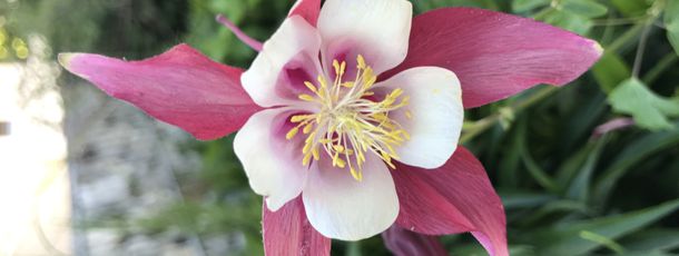 General information about your stay at ****Chasa Aquileia