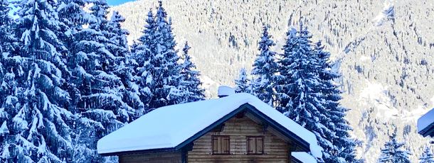 Detaillierte Infos zur Unterkunft AlpenApart Montafon - Bitschweil Hüsle