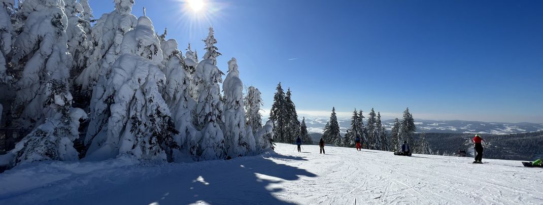 Despite the moderate altitude, the skiing area is quite snow-sure.