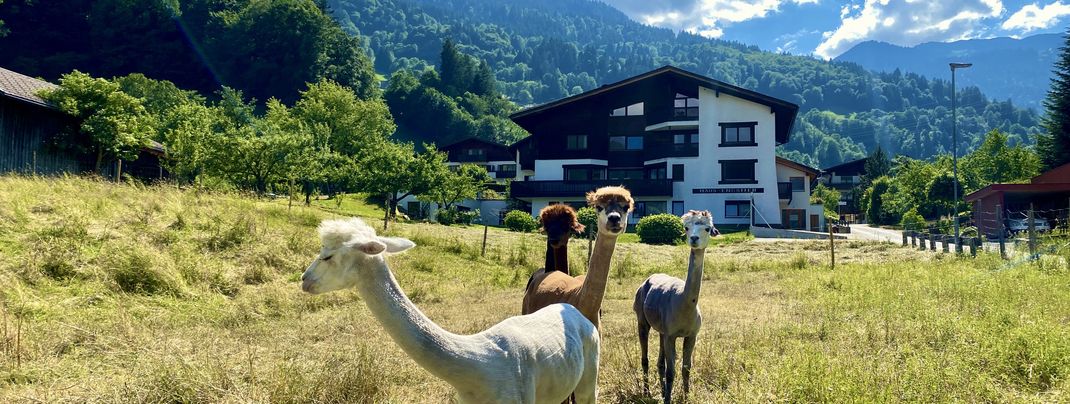 General information about your stay at AlpenApart Haus Engstler
