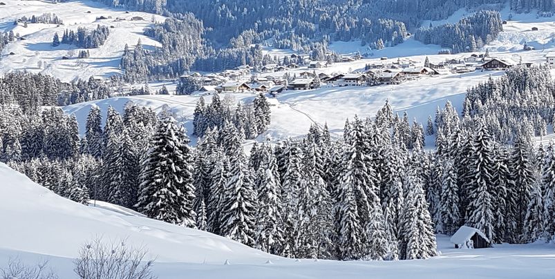 General information about your stay at Gästehaus Büchele